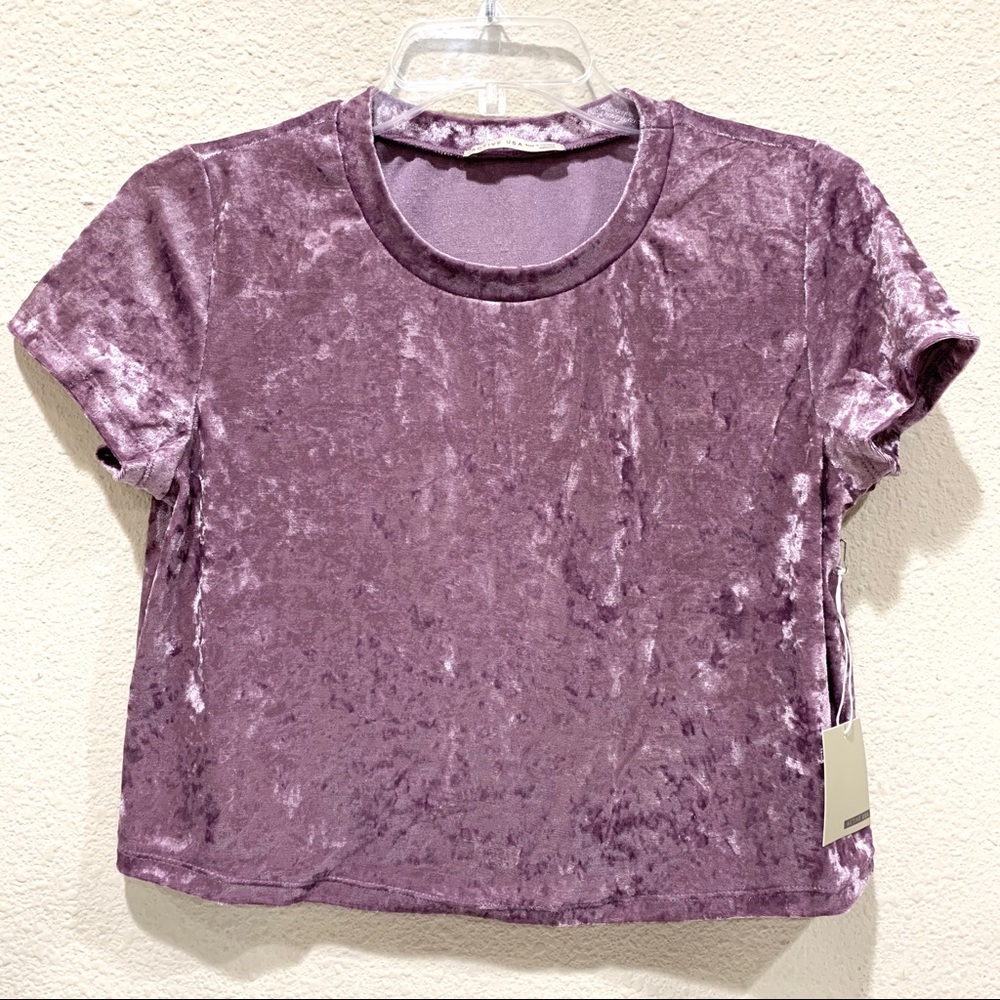 Soft Short Sleeve Velvet Crop Top (NWT)